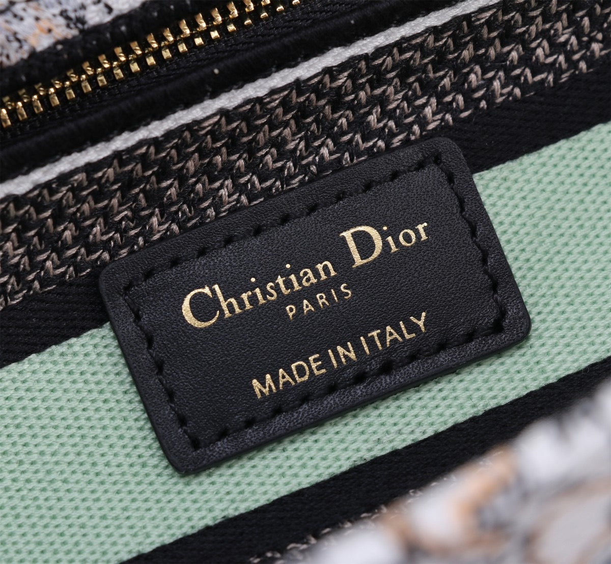 Dior Lady D-Lite Medium Bag In Light Green Butterfly Embroidery