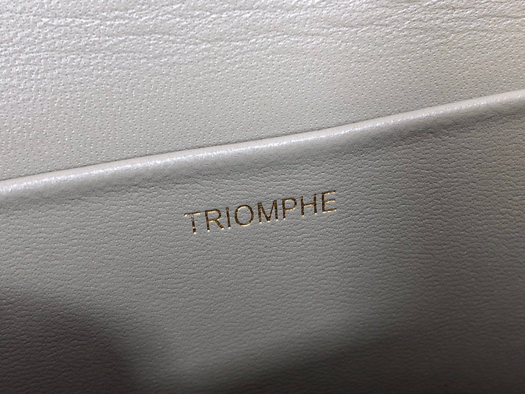 Celine Triomphe Medium Bag In Light Green Smooth Calfskin