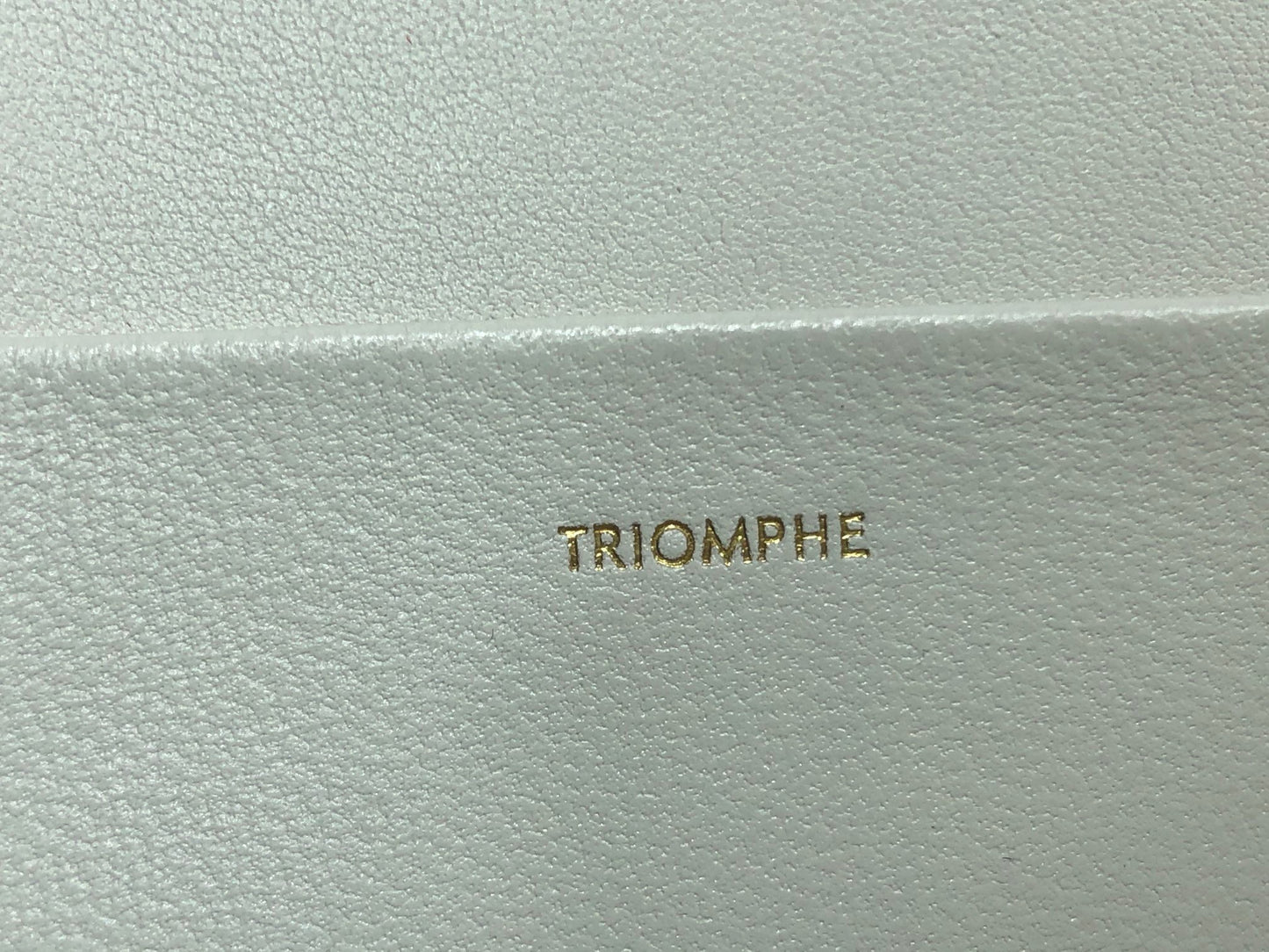 Celine Classic Triomphe Medium Bag In Retro Pattern Canvas Box