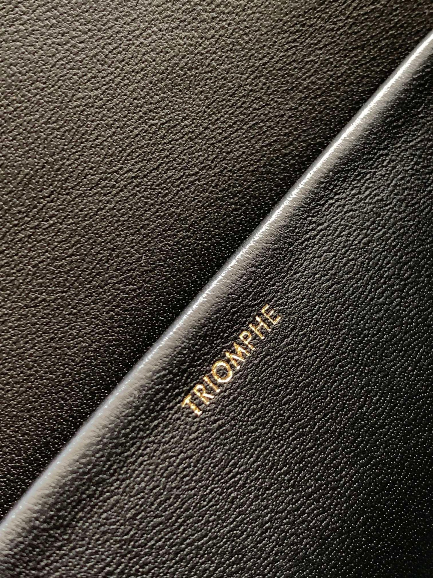 Celine Triomphe Shoulder Bag In Black Triomphe Canvas And Calfksin