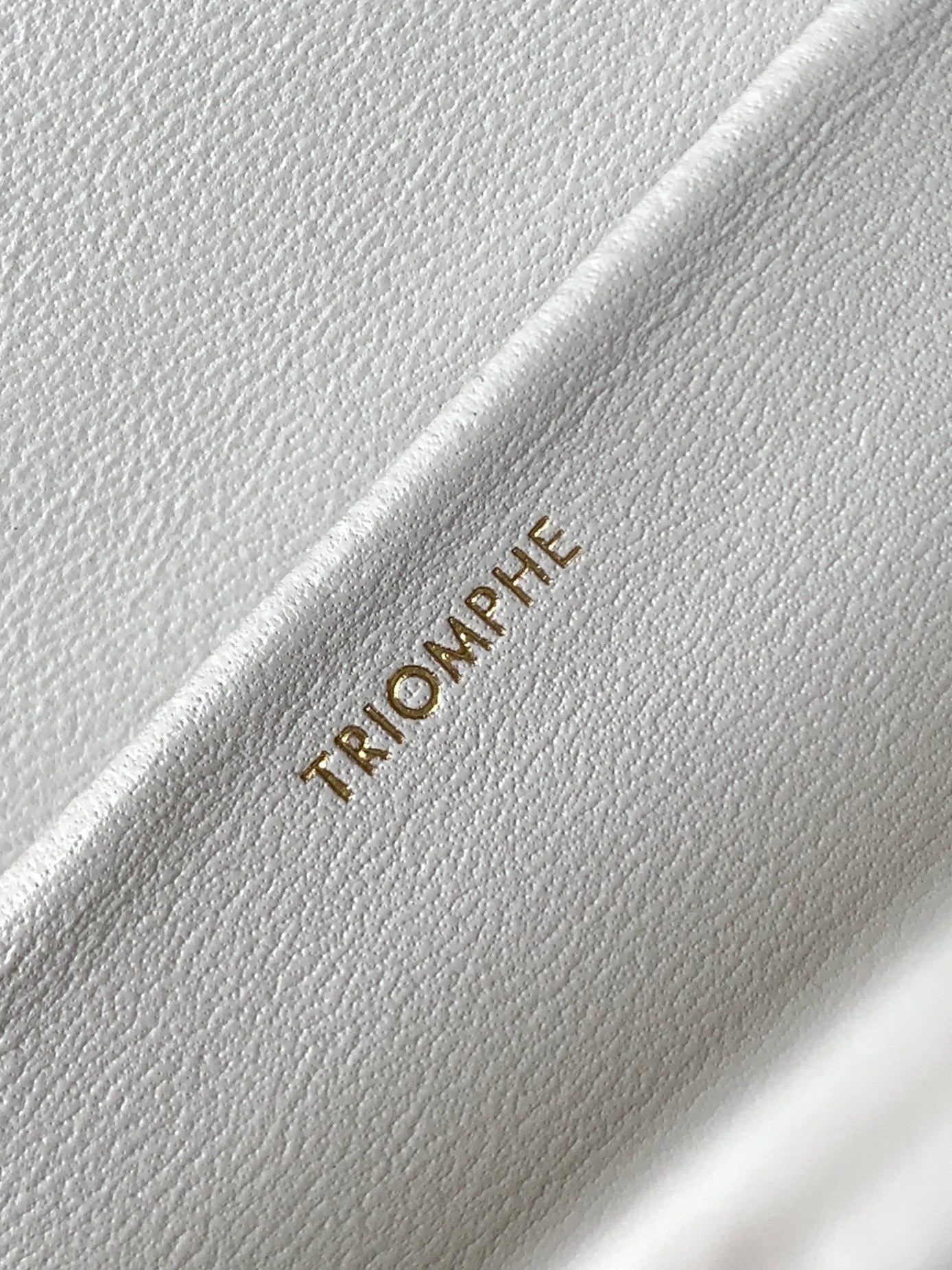 Celine Triomphe Shoulder Bag In White Triomphe Canvas And Calfksin