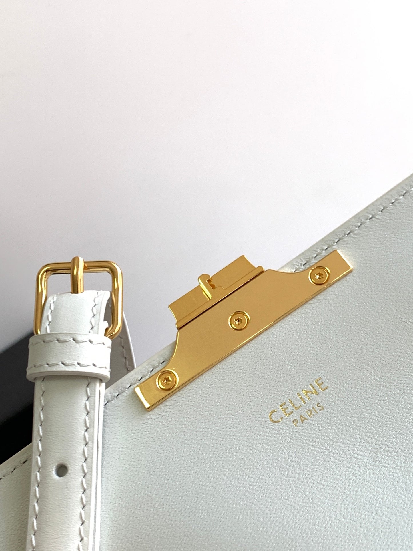 Celine Triomphe Shoulder Bag In Triomphe Canvas And Calfksin