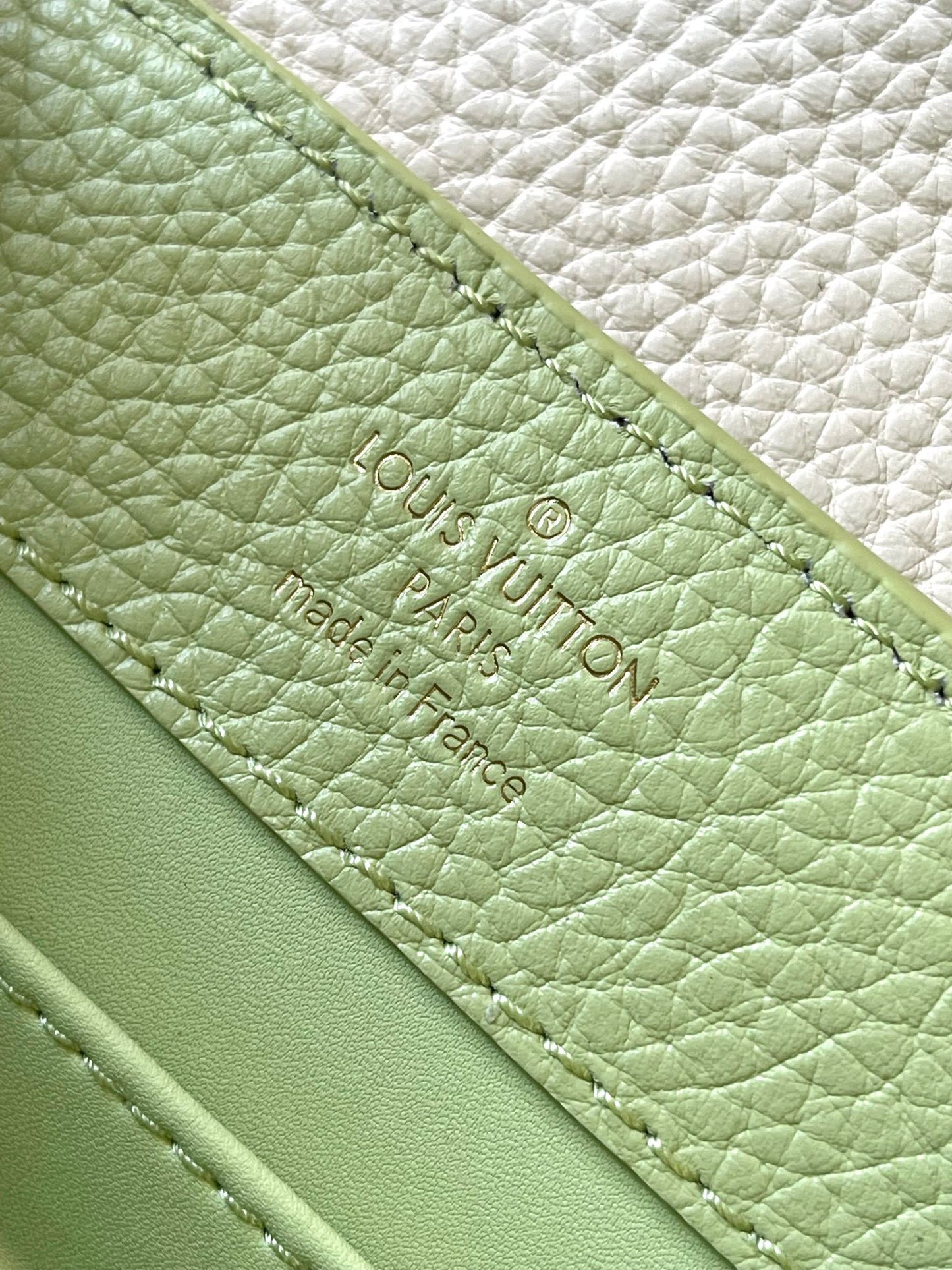 Louis Vuitton Capucines Mini Bag In Avocado Green