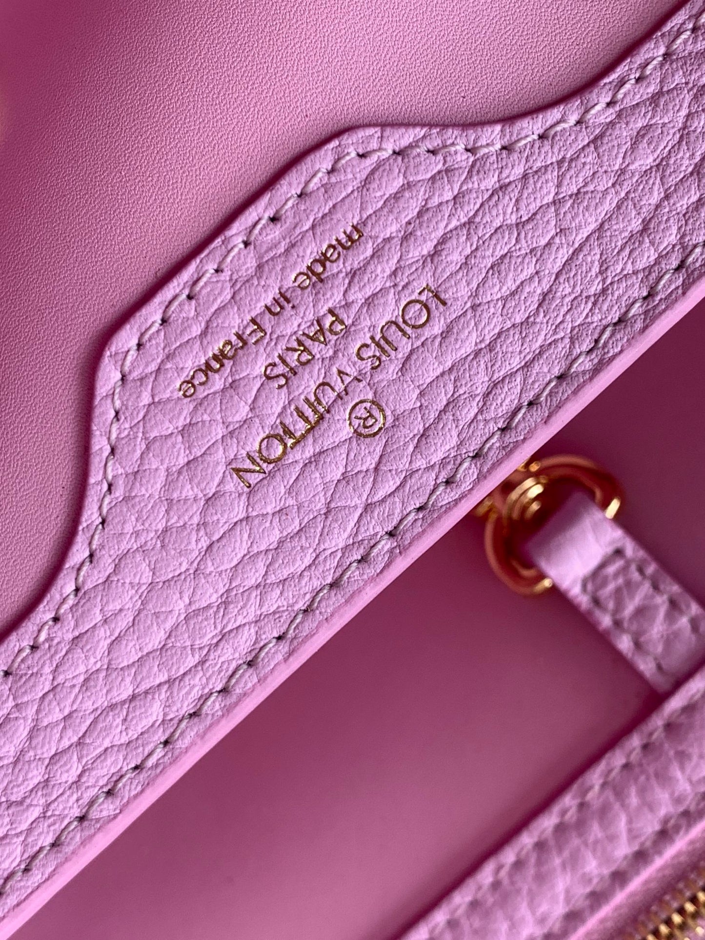 Louis Vuitton Capucines Small Bag In Tomato Red