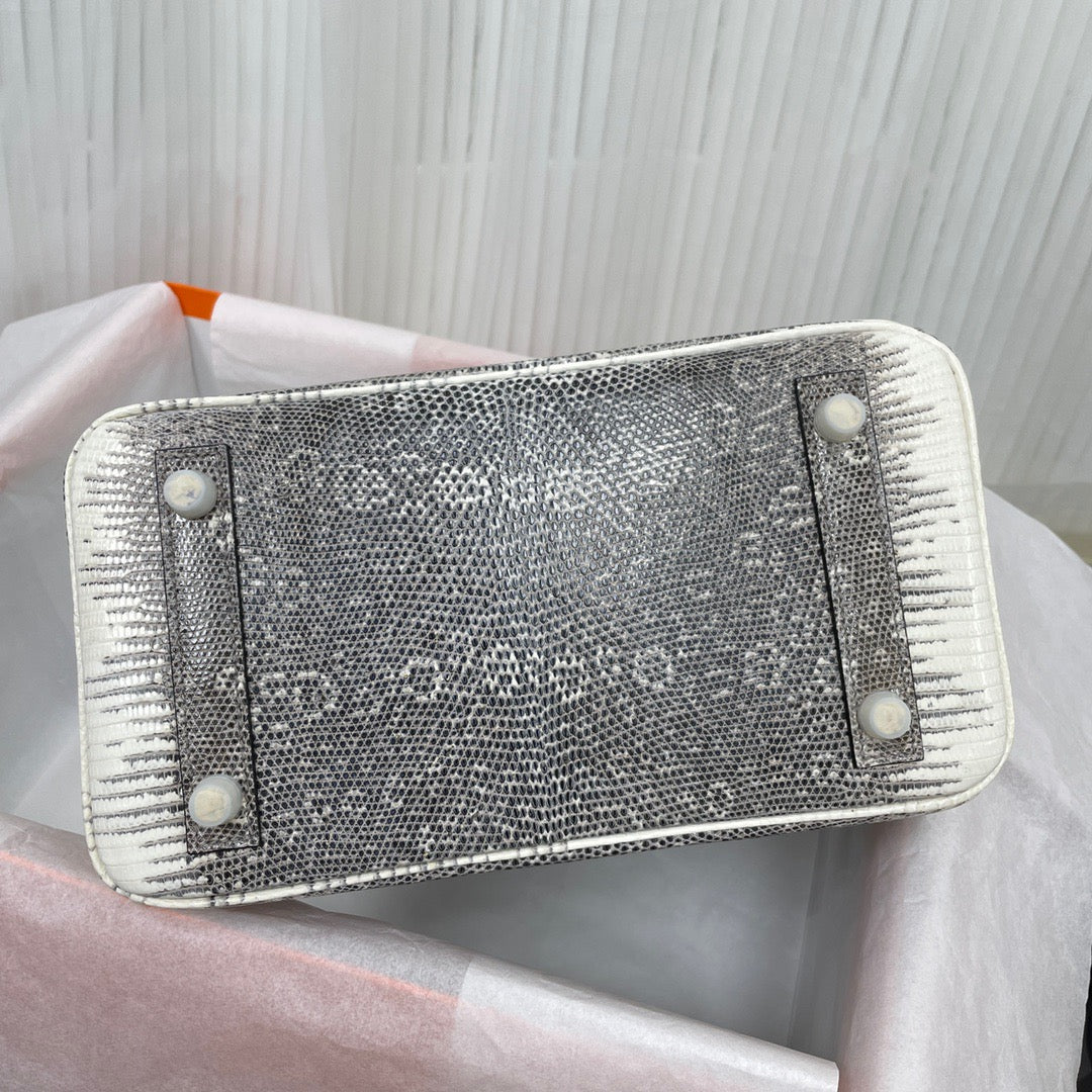 Hermes Birkin 25 Ombre Lizard Exotic Bag