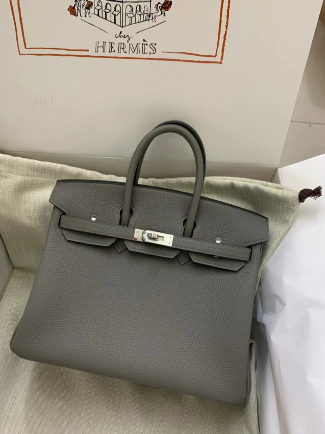 Hermes Birkin 25 Bag In Gris Meyer Togo Leather