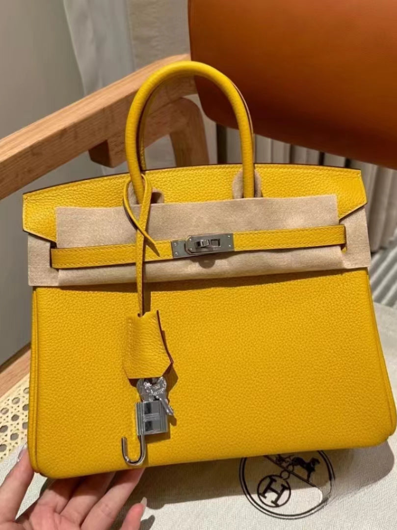 Hermes Birkin 25 Bag In Jaune Amber Togo Leather