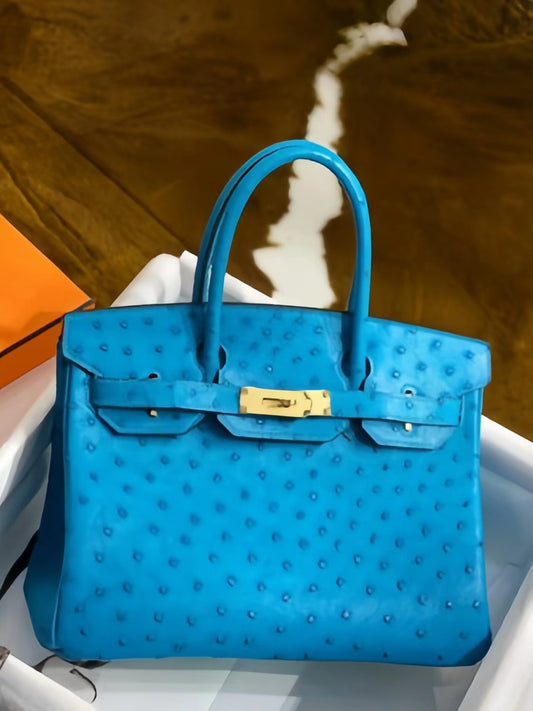 Hermes Birkin 30 Ostrich Leather Sky Blue With Gold Hardware (GHW)