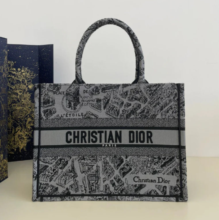 Dior Gray Paris Map Embroidered Collection Medium Tote Bag