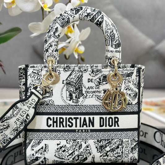 Dior Lady D-Lite Medium Bag In Paris Map Embroidery