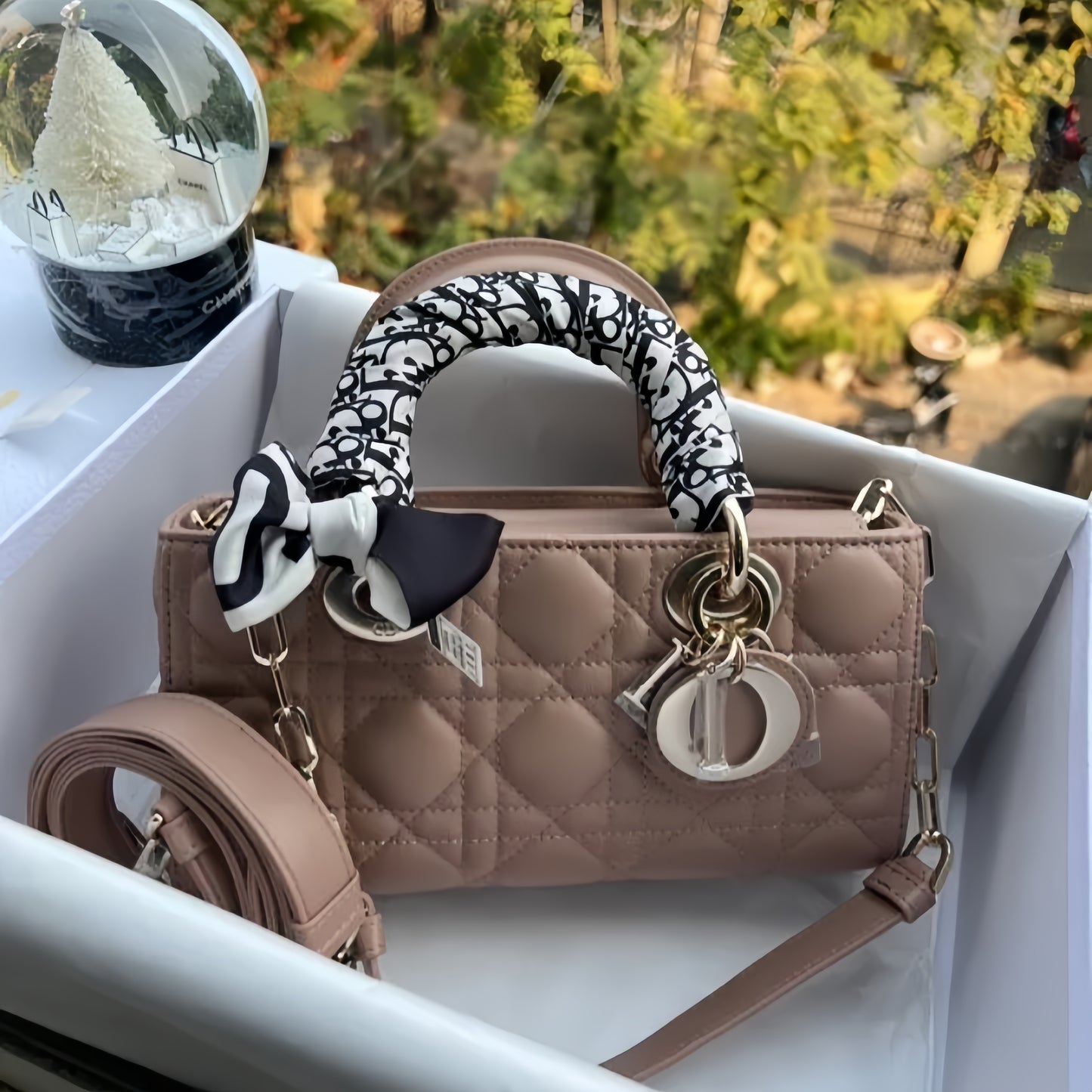 Dior Lady D-Joy Bag In Bean Paste Color Cannage Lambskin