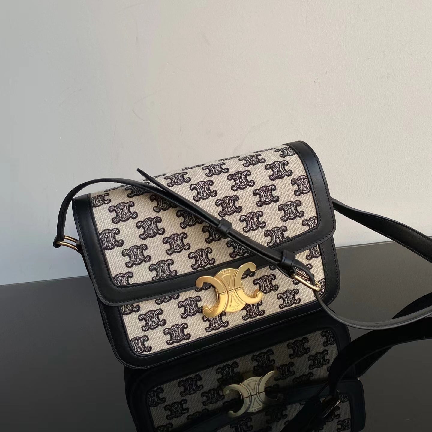 Celine Classic Triomphe Large In Presbyopic Retro Bag