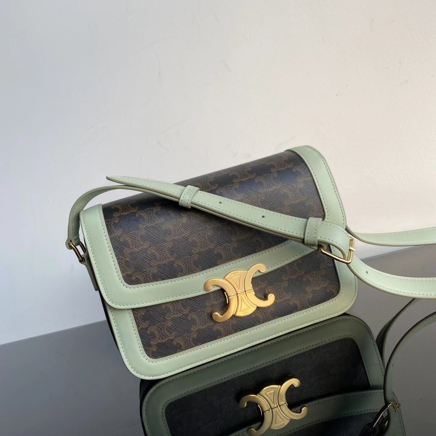 Celine Classic Triomphe Large In Presbyopic Retro Bag