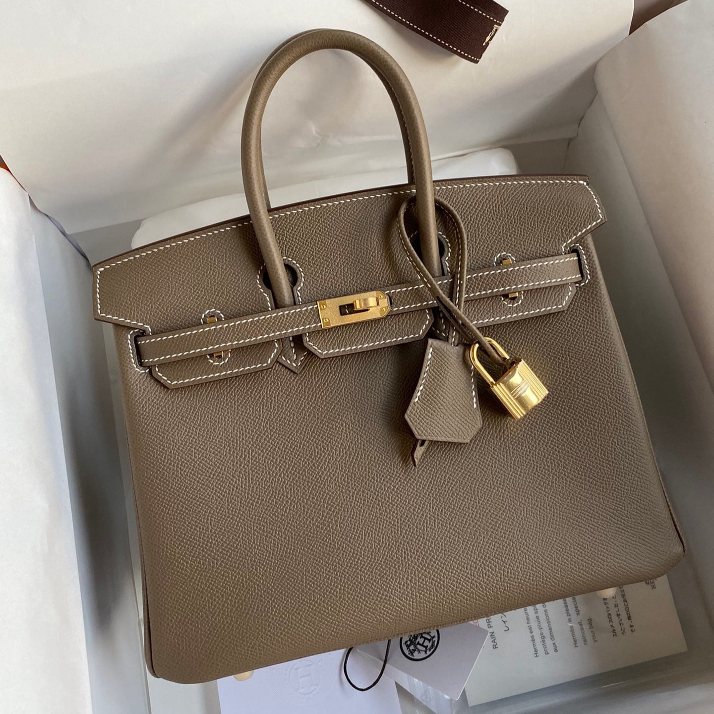 Hermes Birkin 25 Bag In Etoupe Epsom Leather