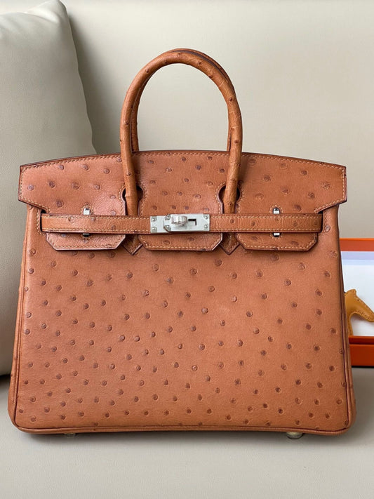 Hermes Birkin 25 Orange Ostrich Leather With Silver Hardware