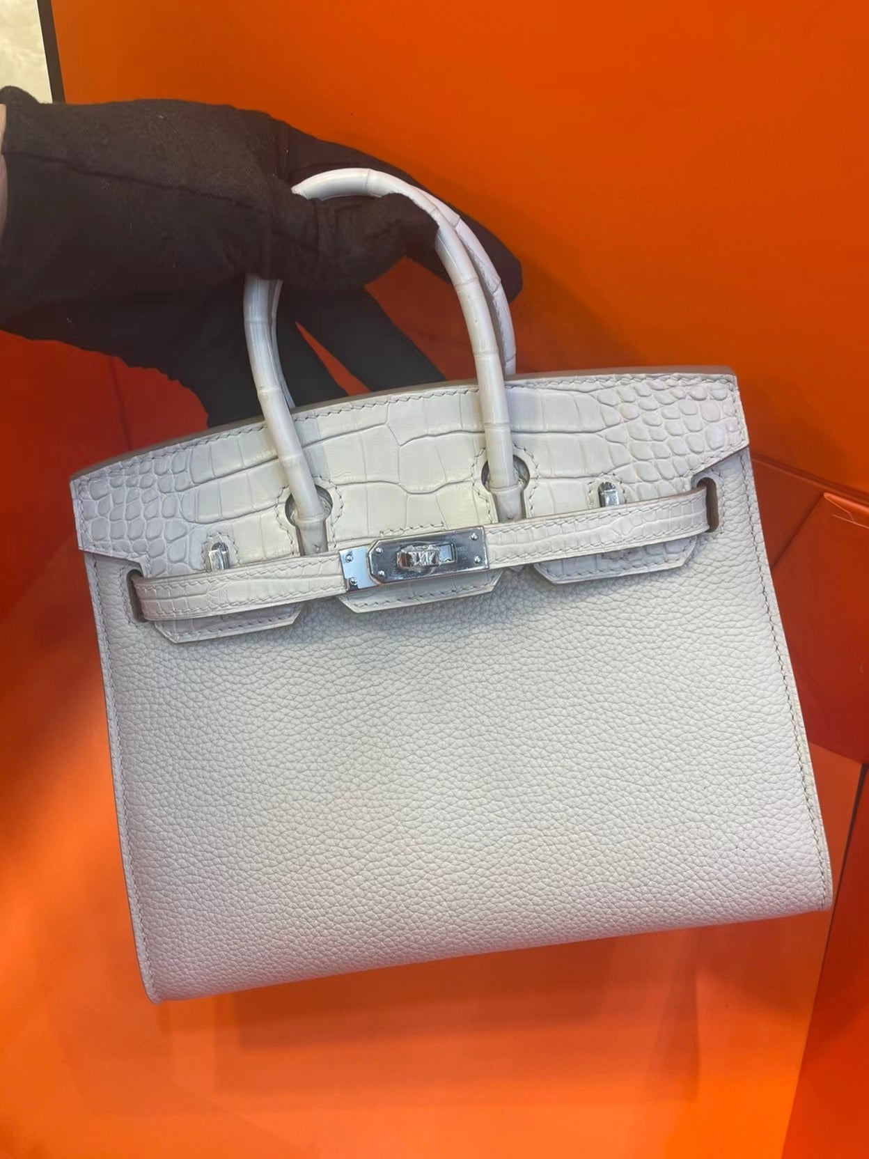 Hermes Touch Birkin 25 Bag in White Clemence and Matte Alligator Leather