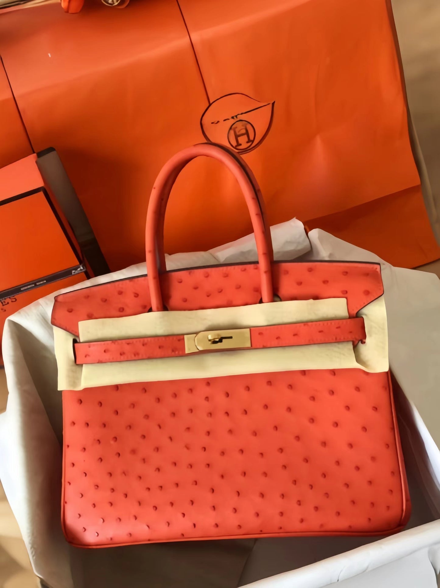 Hermes Birkin 30 Ostrich Leather Orange With Gold Hardware (GHW)