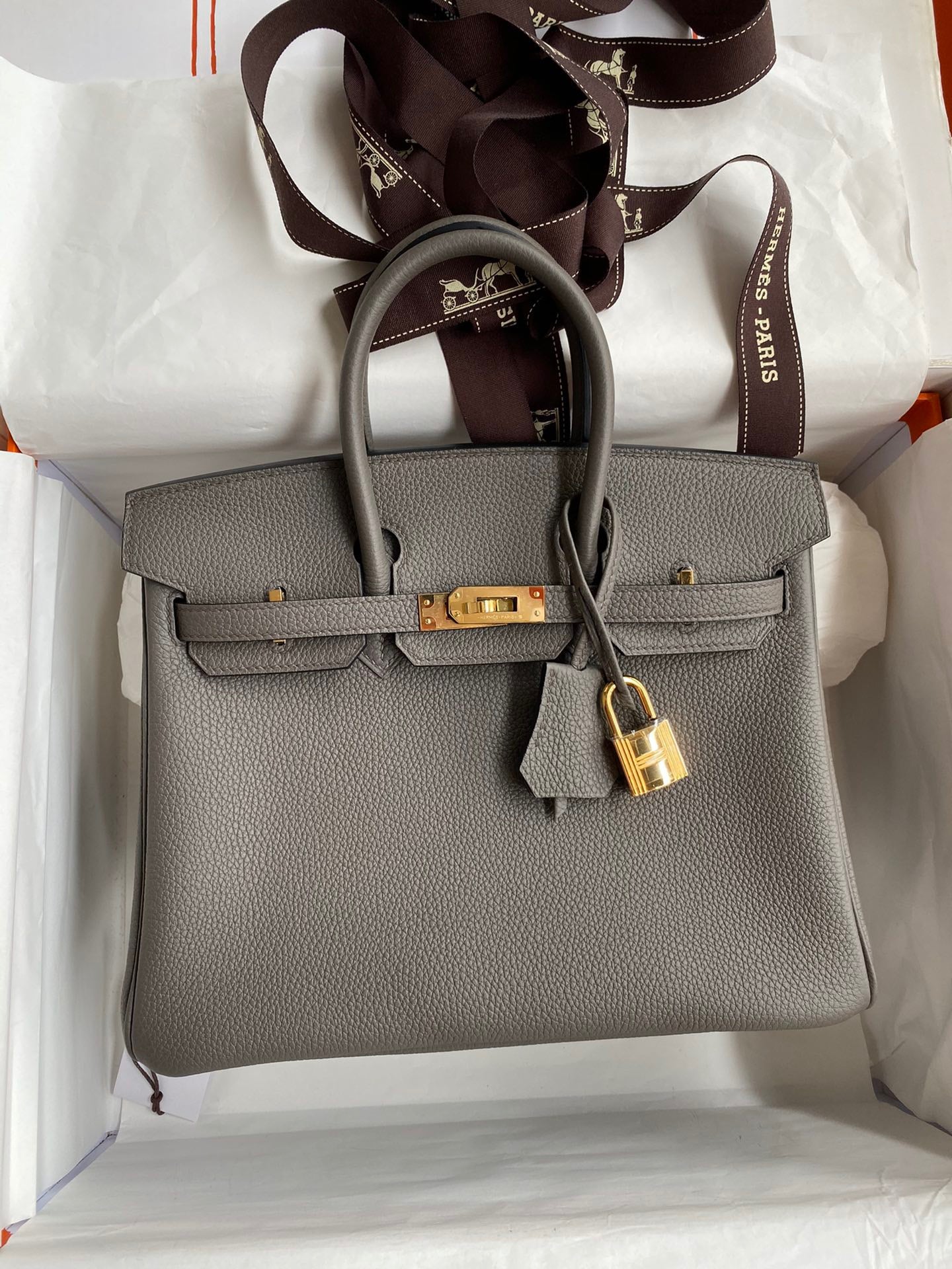 Hermes Birkin 25 Bag In Etain Togo Leather