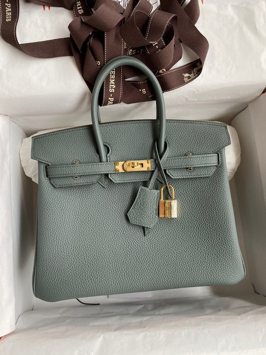 Hermes Birkin 25 Bag In Almond Green Togo Leather