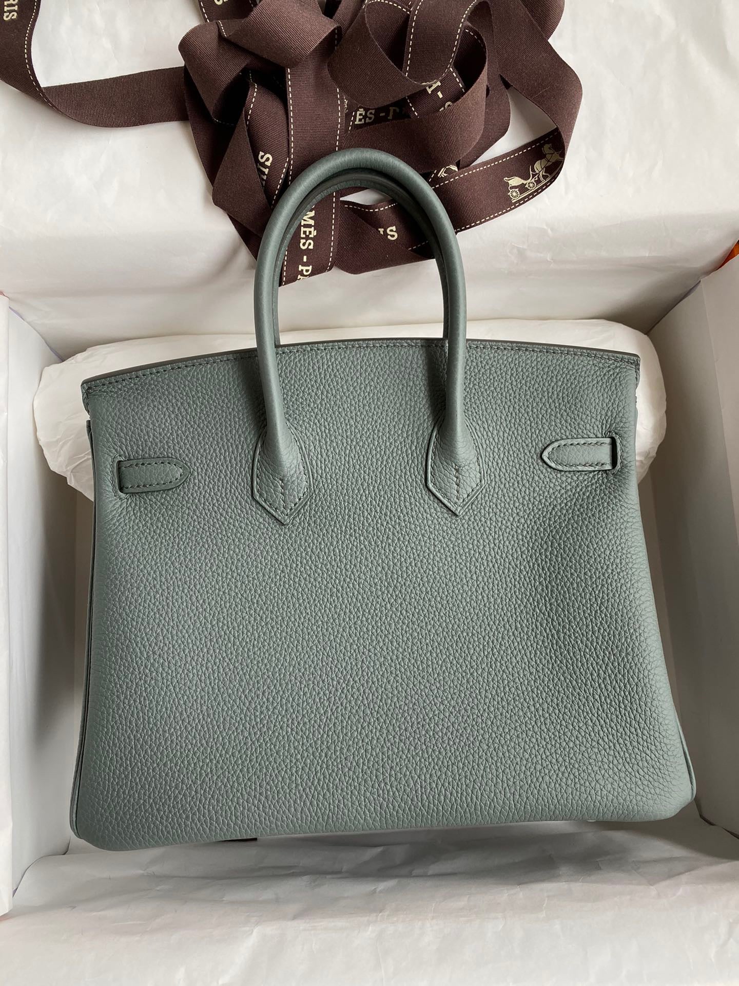 Hermes Birkin 25 Bag In Almond Green Togo Leather