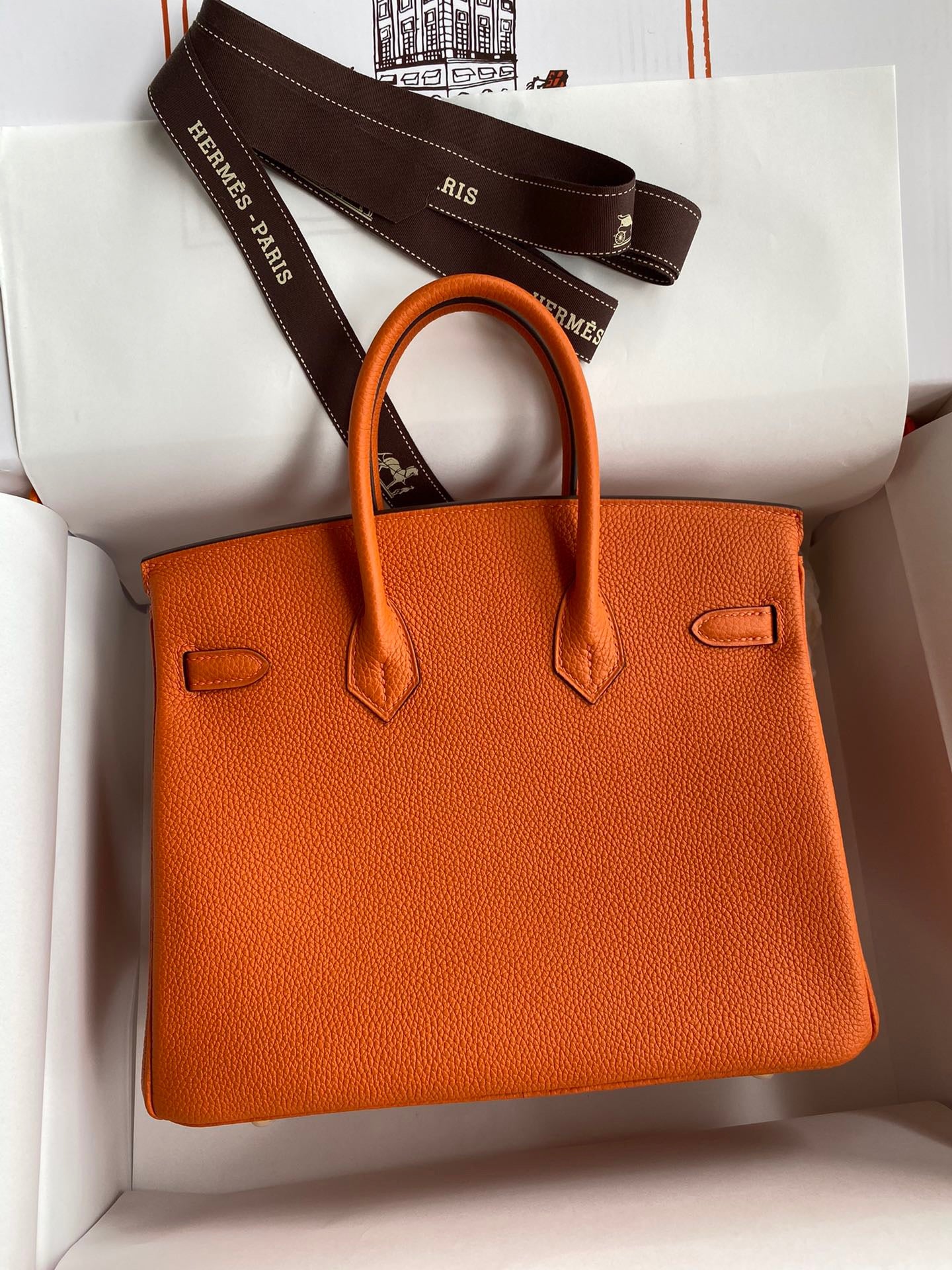 Hermes Birkin 25 Bag In Classic Orange Togo Leather