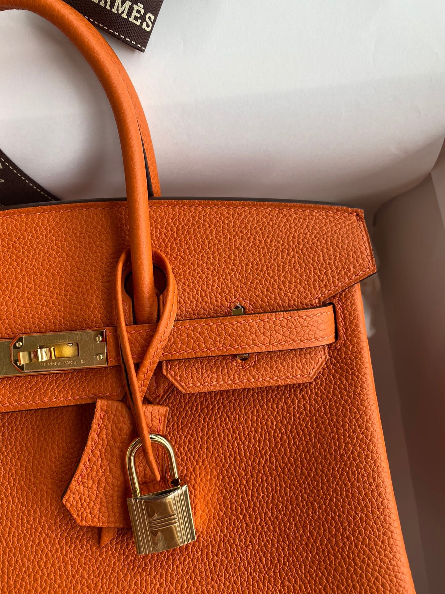 Hermes Birkin 25 Bag In Classic Orange Togo Leather