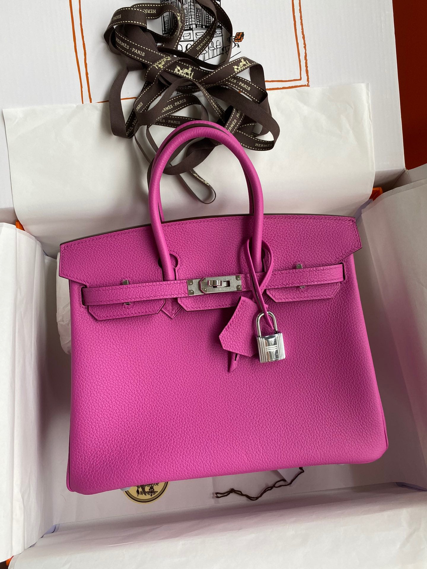 Hermes Birkin 25 Bag In Maqnolia Togo Leather