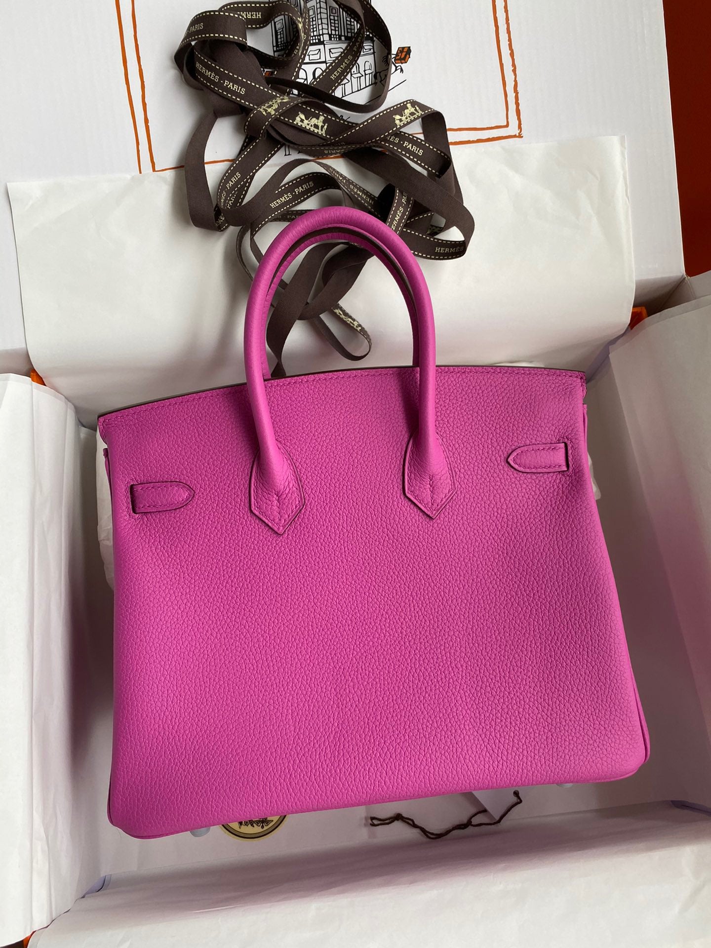 Hermes Birkin 25 Bag In Maqnolia Togo Leather