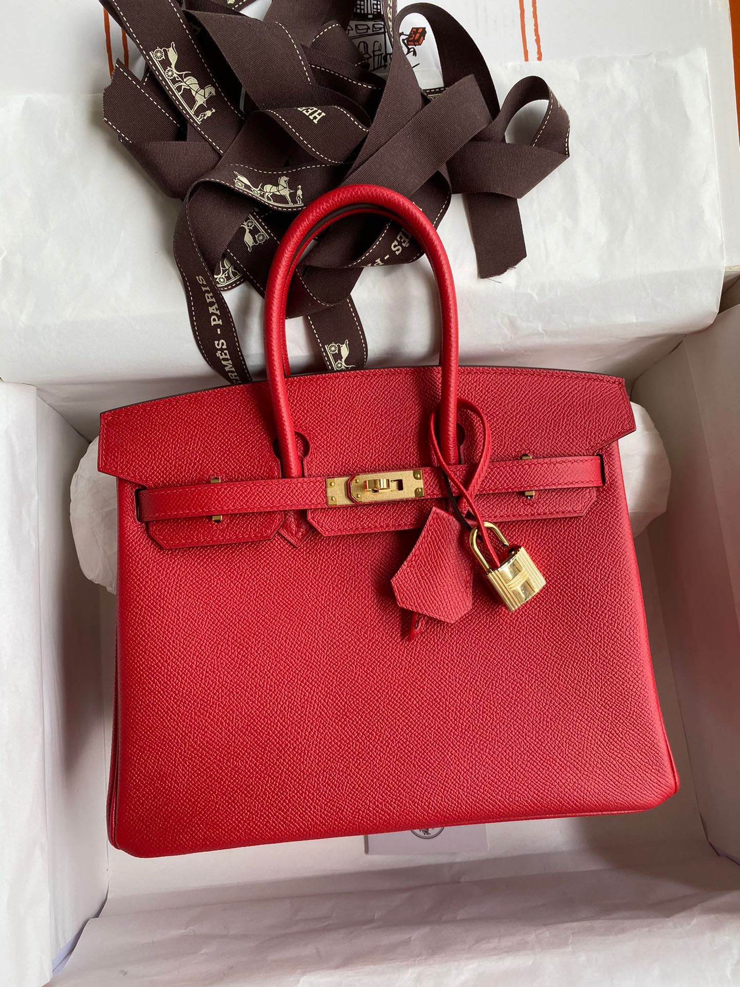 Hermes Birkin 25 Bag In Red Epsom Leather