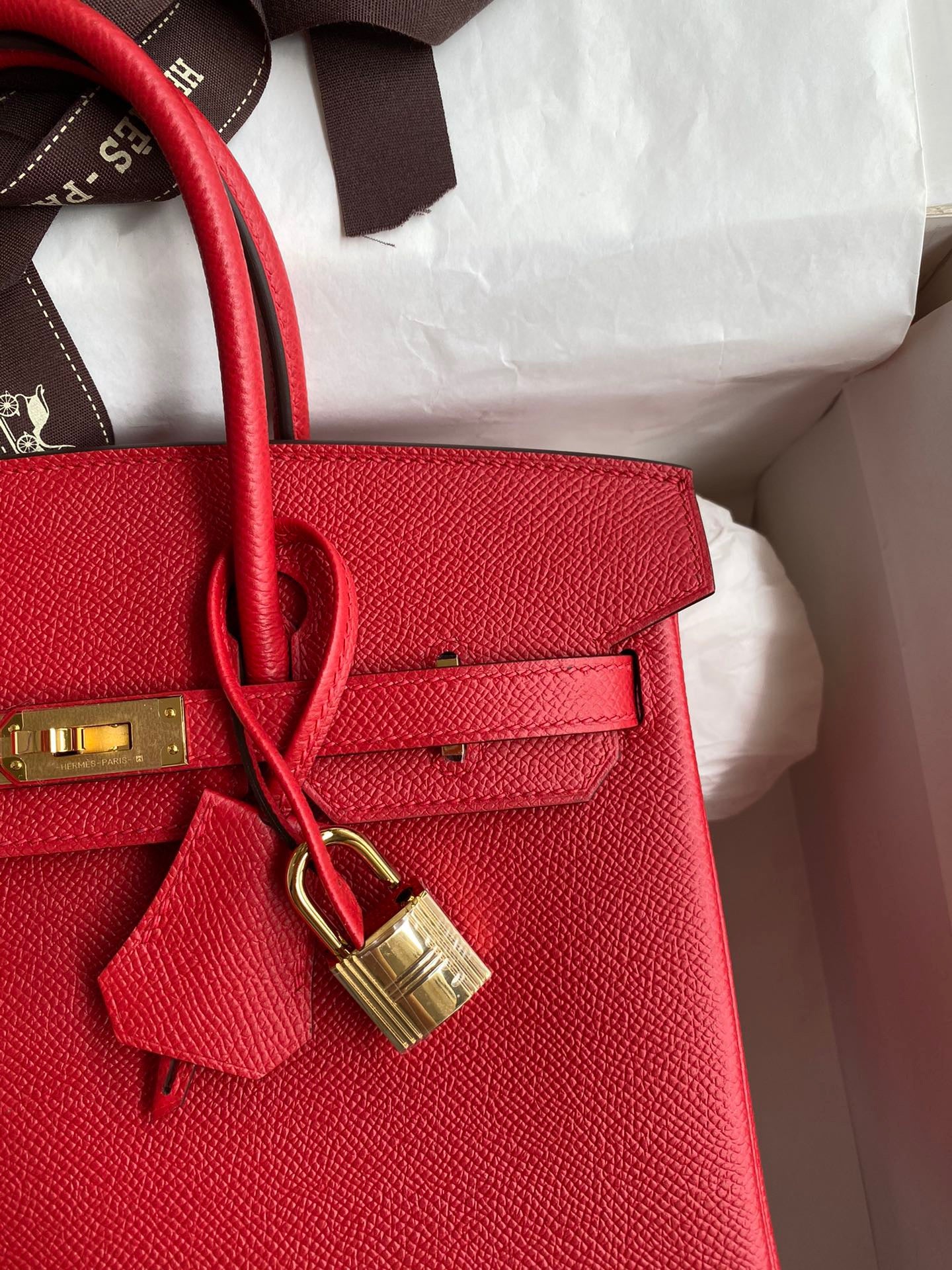 Hermes Birkin 25 Bag In Red Epsom Leather