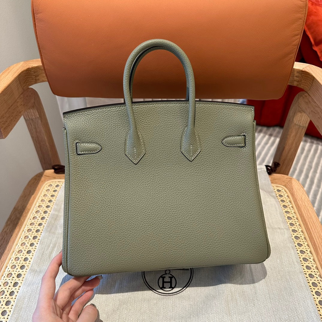 Hermes Birkin 25 Bag In Sauge Togo Leather