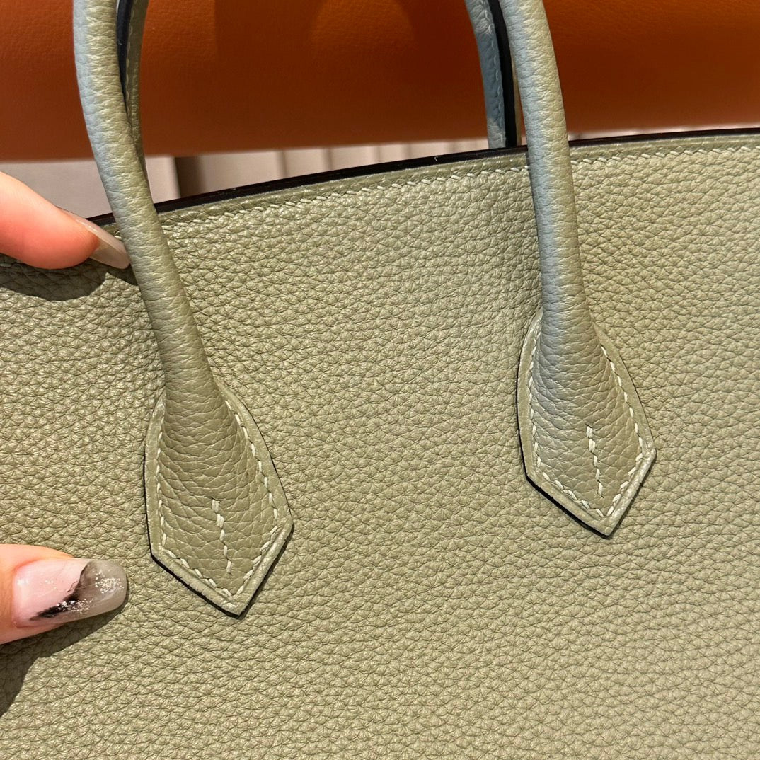 Hermes Birkin 25 Bag In Sauge Togo Leather