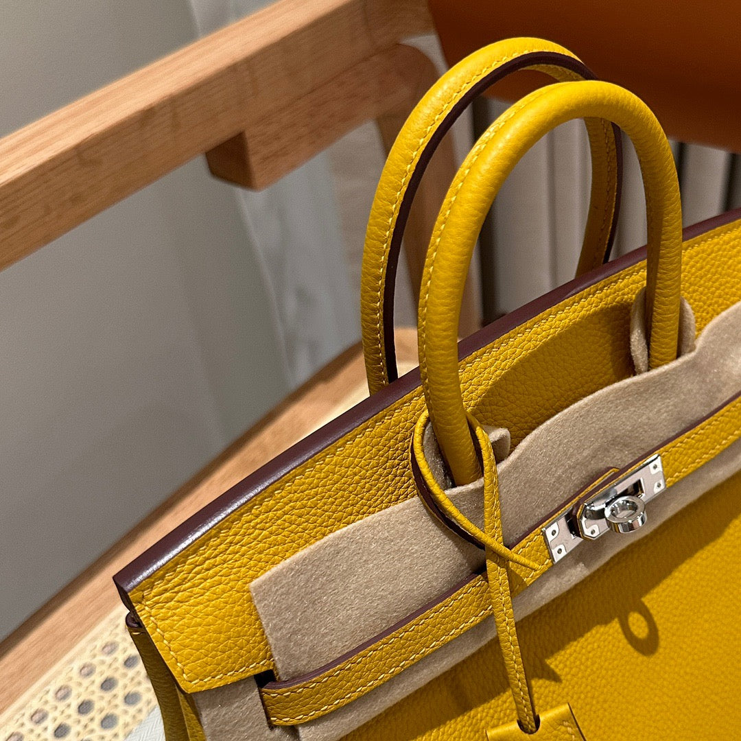 Hermes Birkin 25 Bag In Jaune Amber Togo Leather