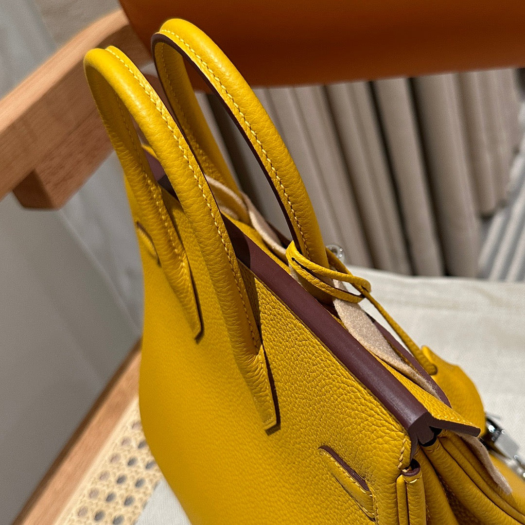 Hermes Birkin 25 Bag In Jaune Amber Togo Leather