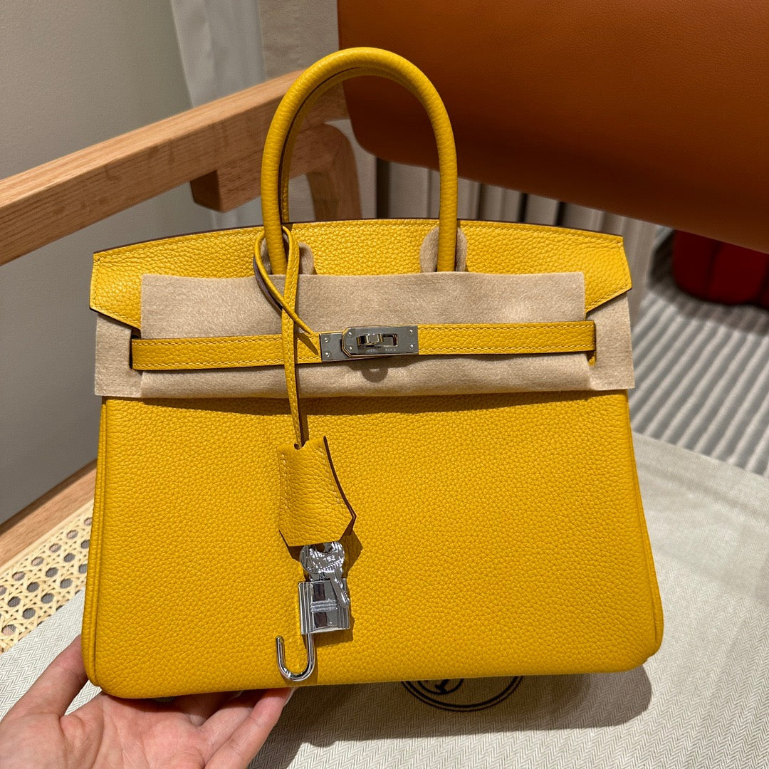 Hermes Birkin 25 Bag In Jaune Amber Togo Leather