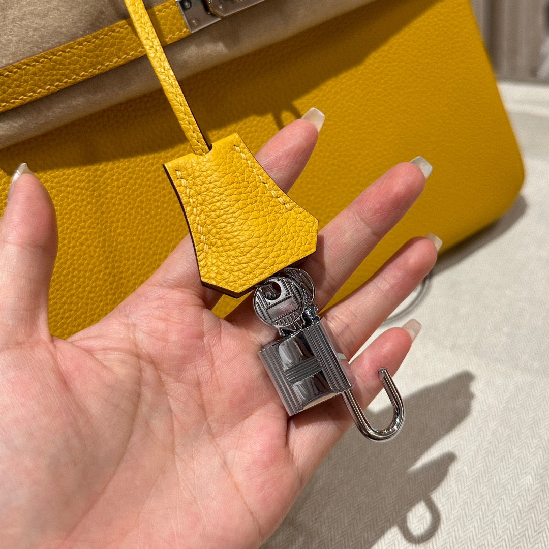 Hermes Birkin 25 Bag In Jaune Amber Togo Leather