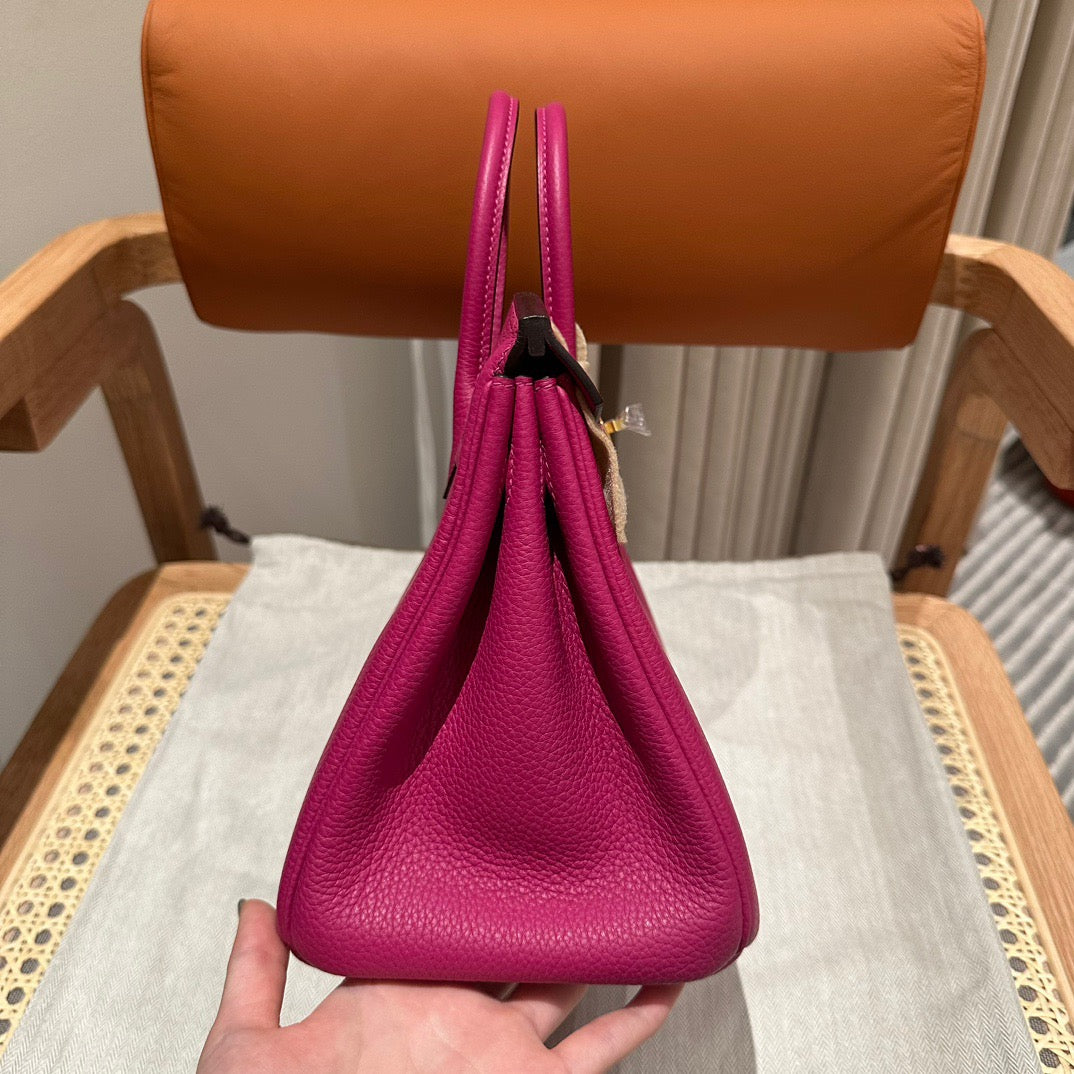 Hermes Birkin 25 Bag In Rose Purple Togo Leather