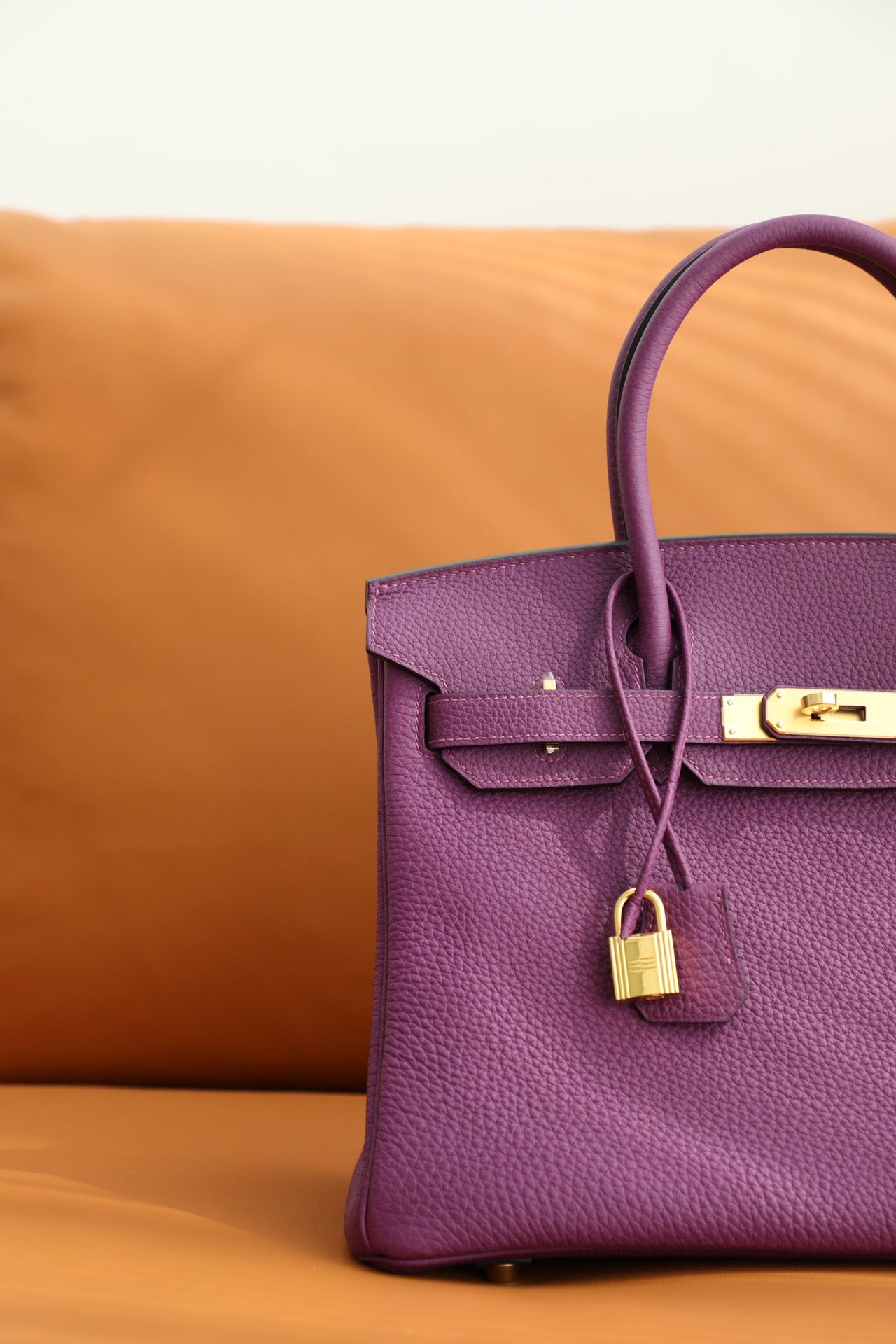 Hermes Birkin 30 Bag in Anemone Purple Togo Leather 