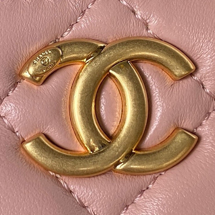 Chanel Classic CC Vanity Case Pink Lambskin Gold Hardware