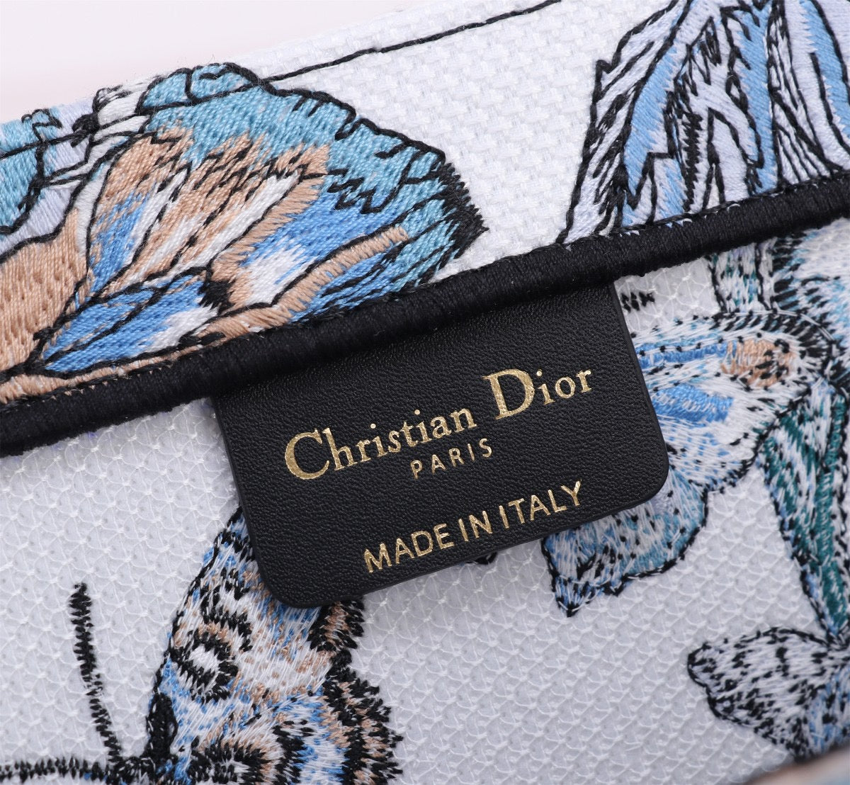 Dior Ruy Print Embroidery Series Medium Tote Bag