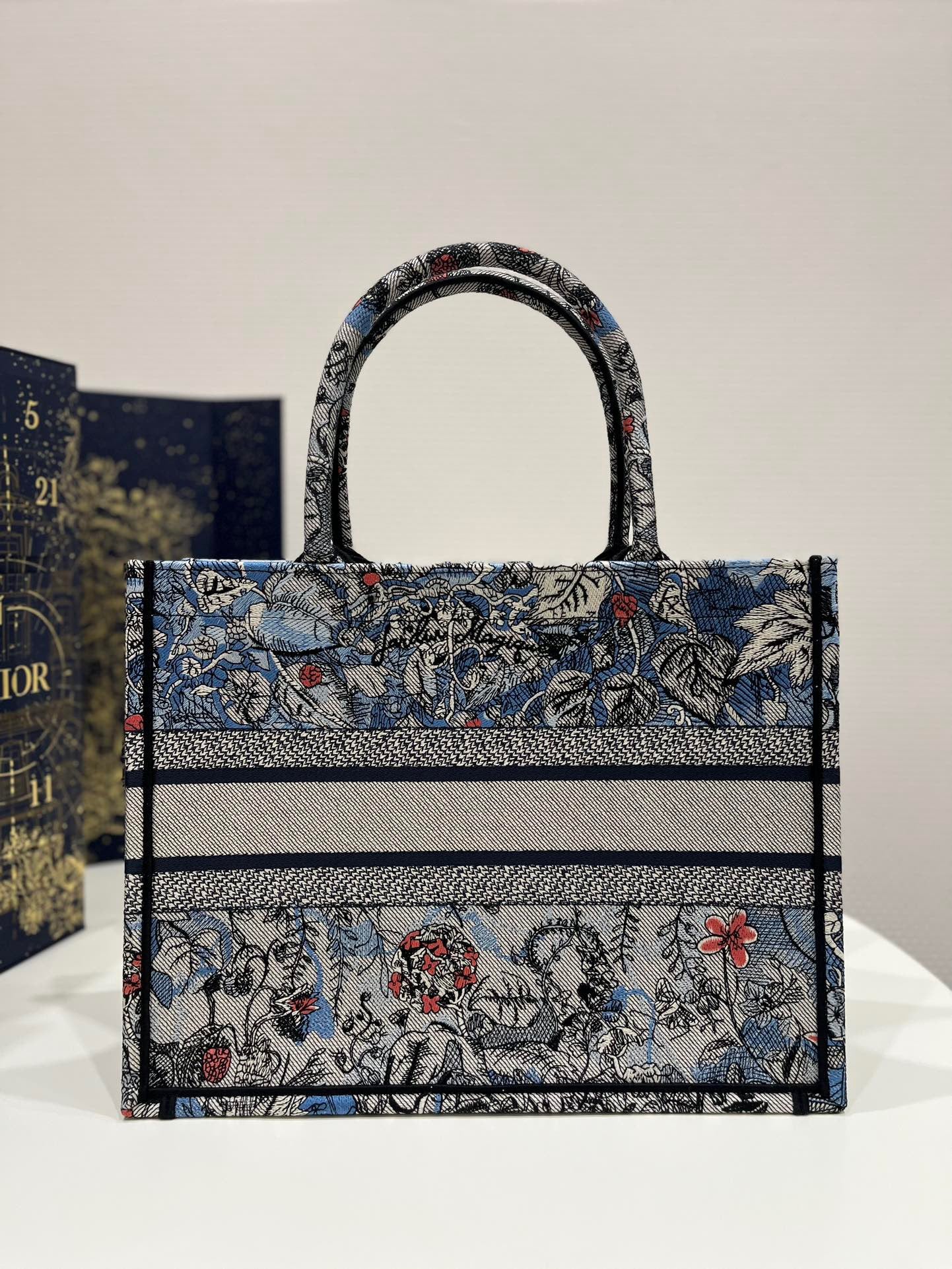 Dior  Blue and Pink Magic Garden Embroidery Series Medium Tote Bag