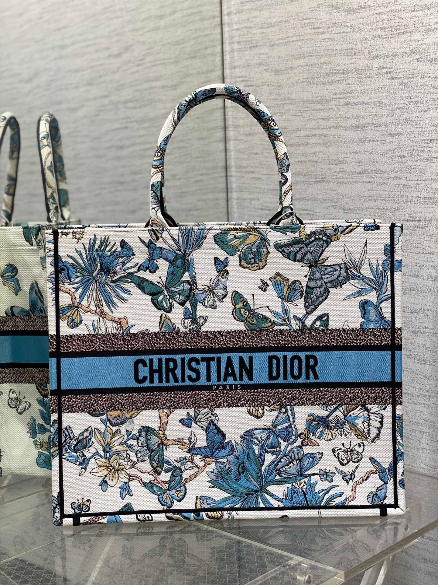 Dior Large Book Tote Bag In Blue Toile de Jouy Reverse Embroidery