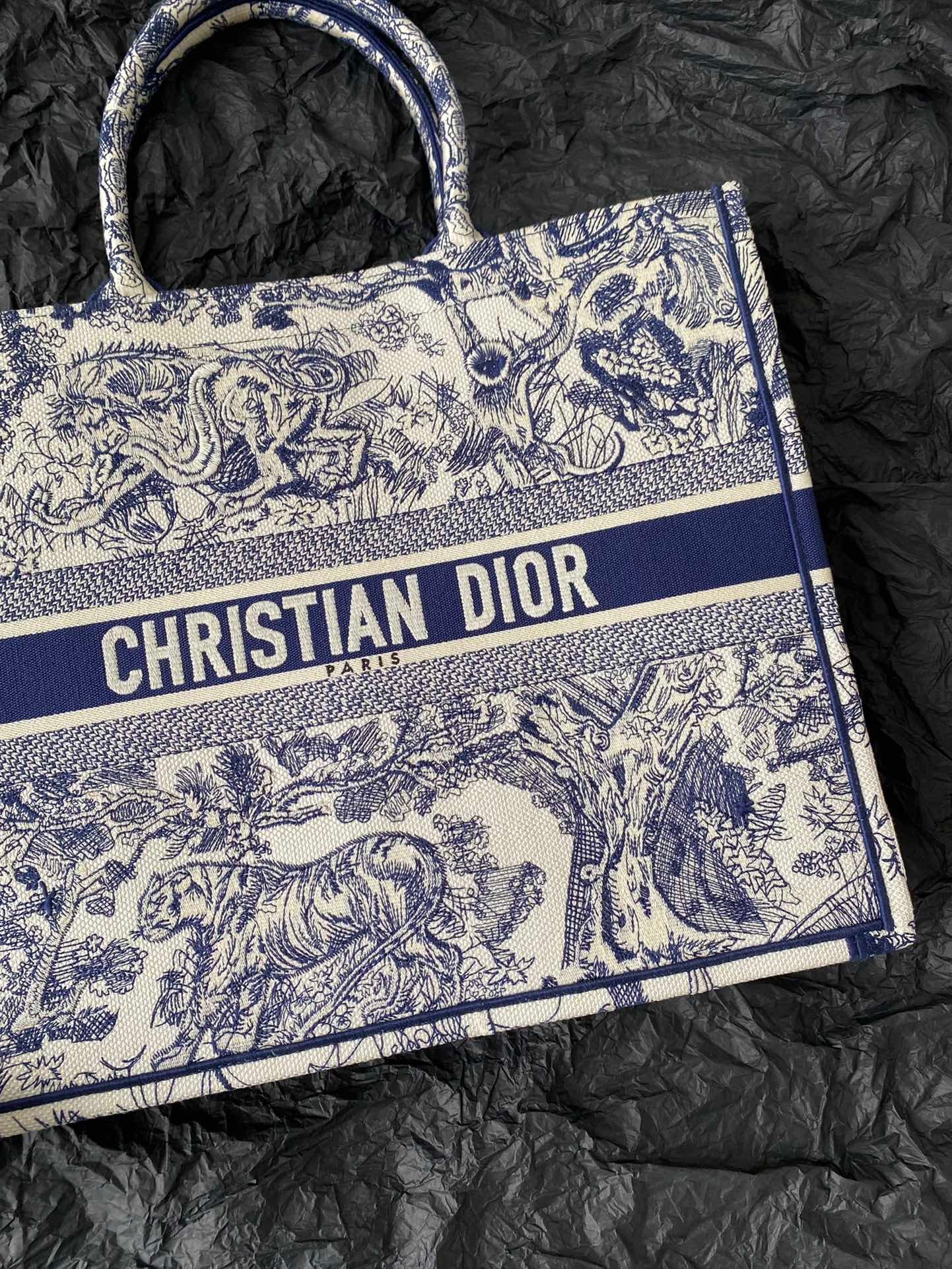 Dior Large Book Tote Bag In Blue Toile de Jouy Reverse Embroidery