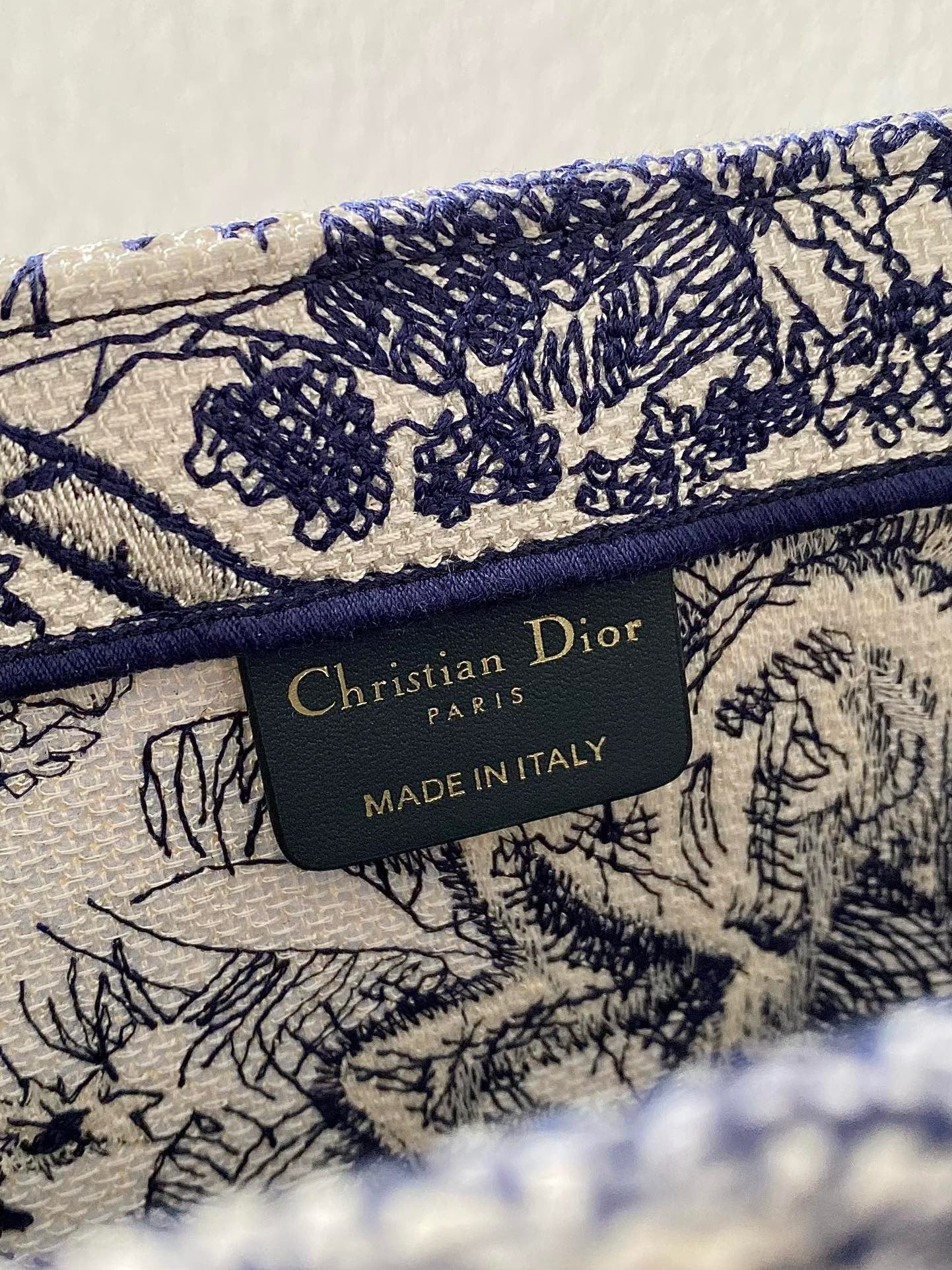 Dior Large Book Tote Bag In Blue Toile de Jouy Reverse Embroidery