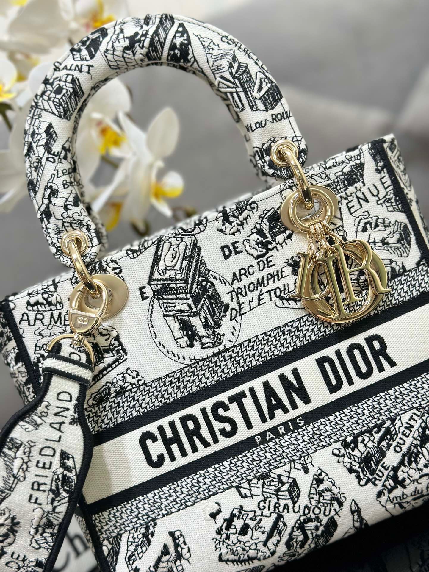 Dior Lady D-Lite Medium Bag In Paris Map Embroidery