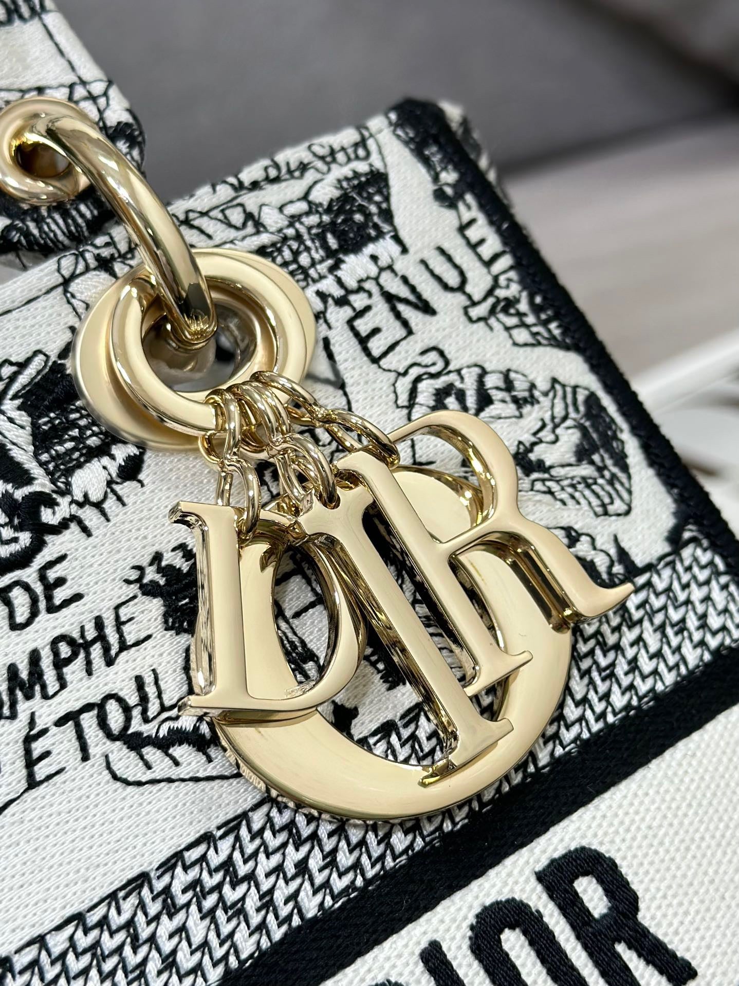 Dior Lady D-Lite Medium Bag In Paris Map Embroidery