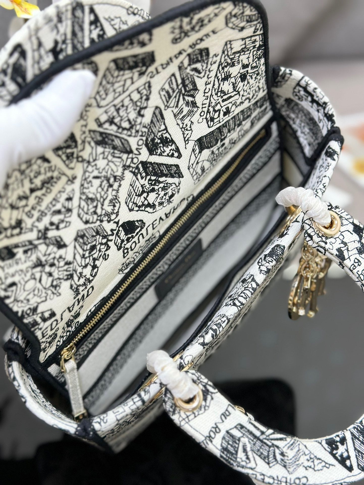 Dior Lady D-Lite Medium Bag In Paris Map Embroidery