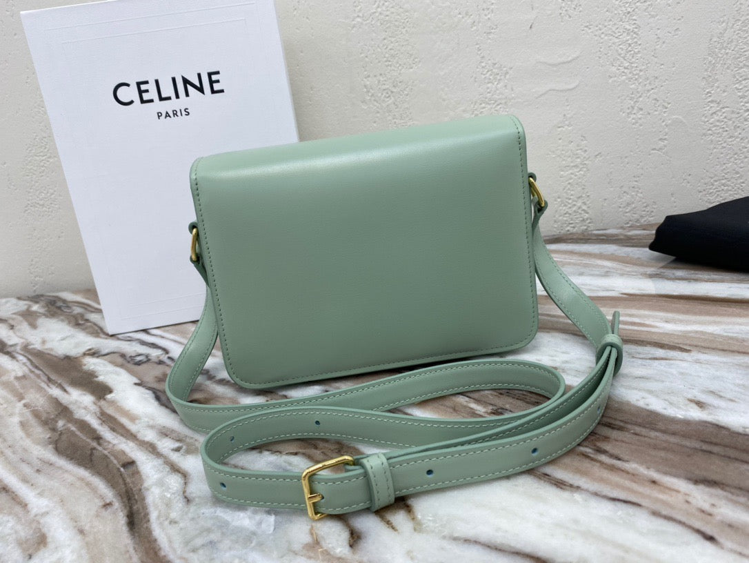 Celine Classic Box Teen Bag In Light Green Box Calfskin