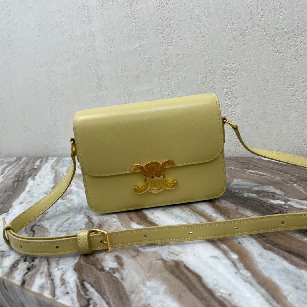 Celine Classic Box Teen Bag In Lime Box Calfskin