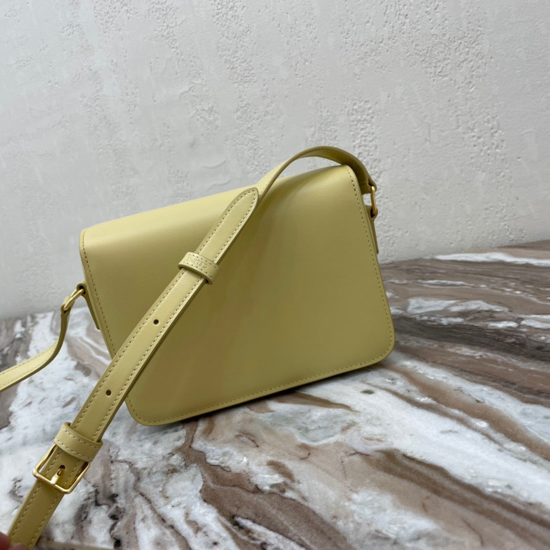 Celine Classic Box Teen Bag In Lime Box Calfskin